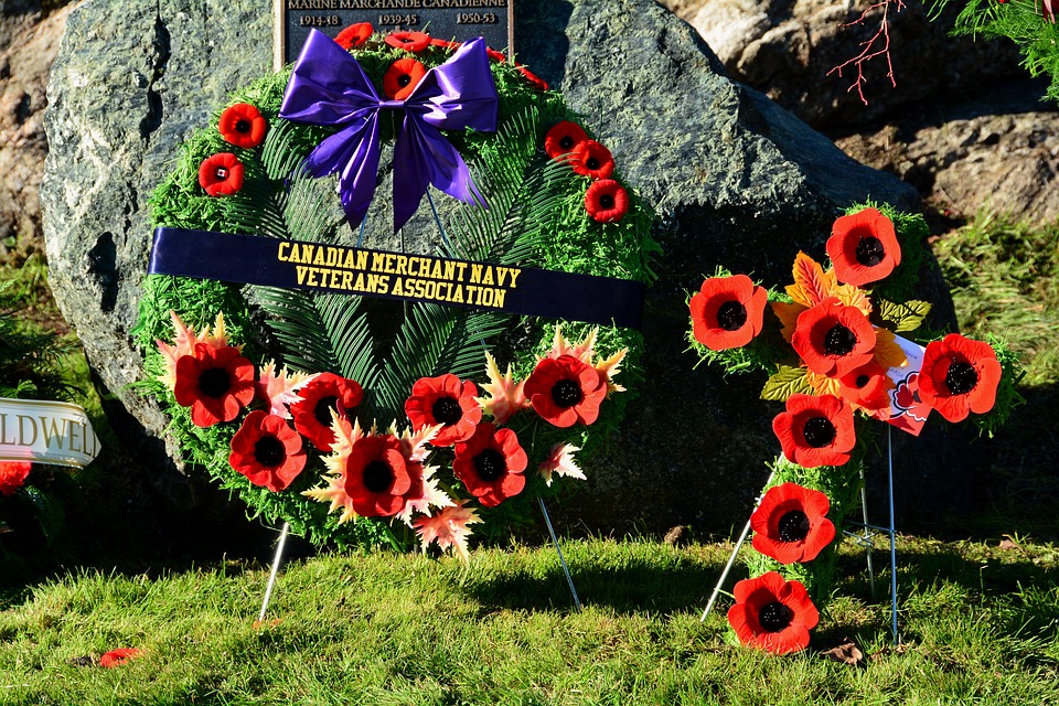 Lest we forget: The story behind the iconic Remembrance Day