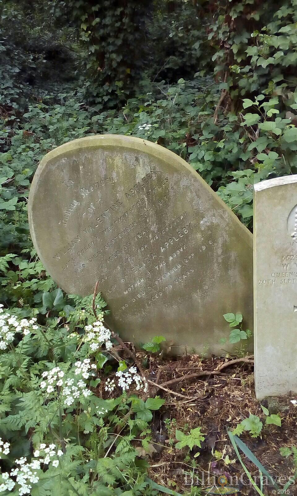 flowers, london, BillionGraves, gravestone, grave, damaged gravestones, cemetery, family history, ancestors, community service project, JustServe, BillionGraves app, ivy, plant growth, JustServe, UK