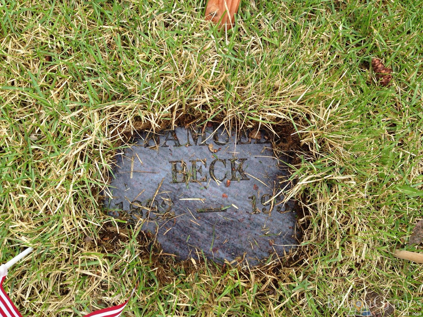 BillionGraves, gravestone, grave, damaged gravestones, cemetery, family history, ancestors, community service project, JustServe, BillionGraves app, Beck, birth, death