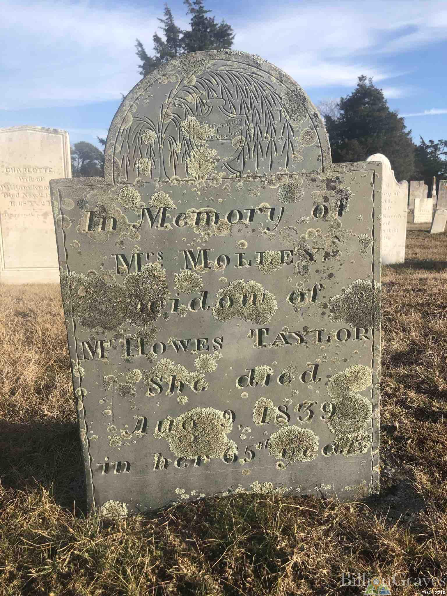 BillionGraves, gravestone, grave, damaged gravestones, cemetery, family history, ancestors, community service project, JustServe, BillionGraves app, ivy, plant growth, JustServe, lichen, mold