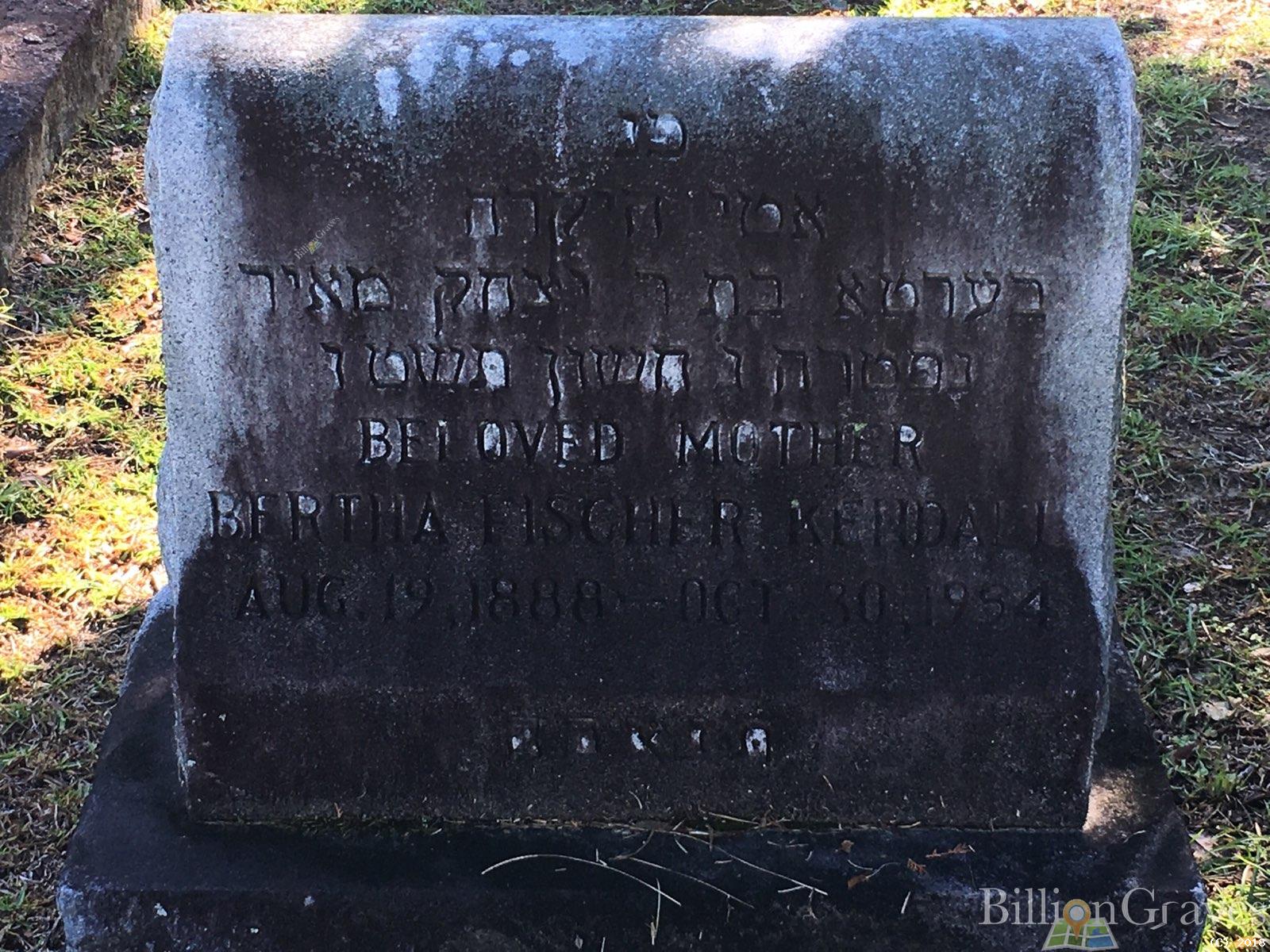 BillionGraves, gravestone, grave, damaged gravestones, cemetery, family history, ancestors, community service project, JustServe, BillionGraves app, ivy, plant growth, JustServe, old graves, history
