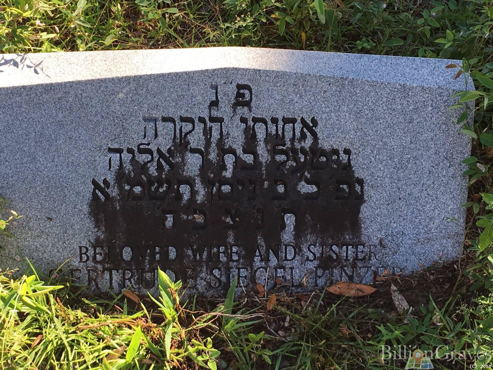 BillionGraves, gravestone, grave, damaged gravestones, cemetery, family history, ancestors, community service project, JustServe, BillionGraves app, ivy, plant growth, JustServe, hebrew