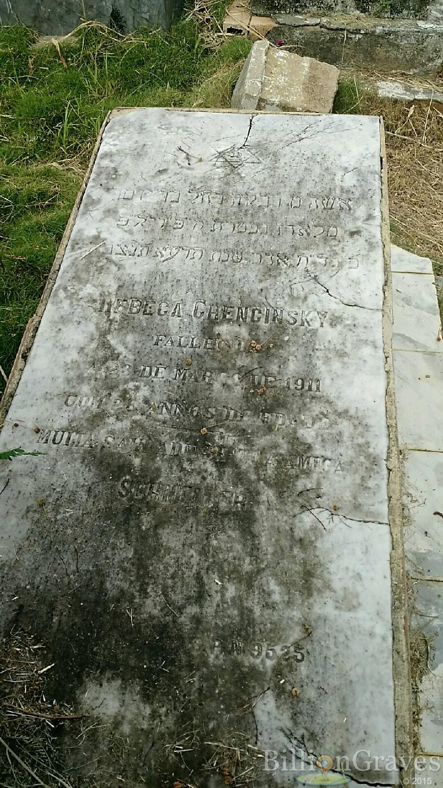 BillionGraves, gravestone, grave, damaged gravestones, cemetery, family history, ancestors, community service project, JustServe, BillionGraves app, ivy, plant growth, JustServe, moldy cement grave