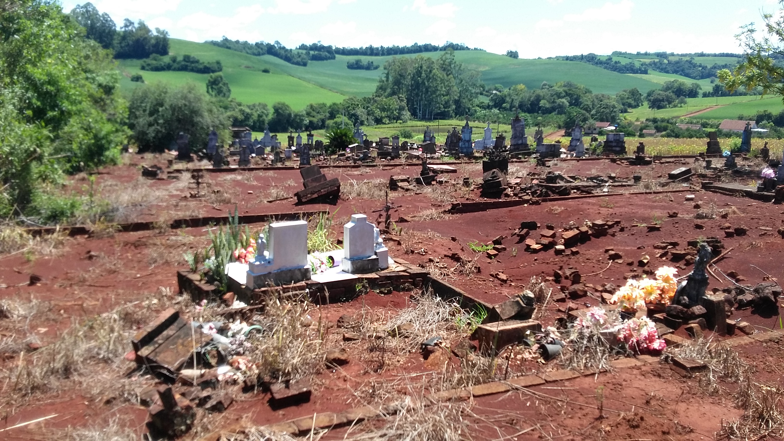 BillionGraves, gravestone, grave, damaged gravestones, cemetery, family history, ancestors, community service project, JustServe, BillionGraves app, ivy, plant growth, JustServe, red earth, soil