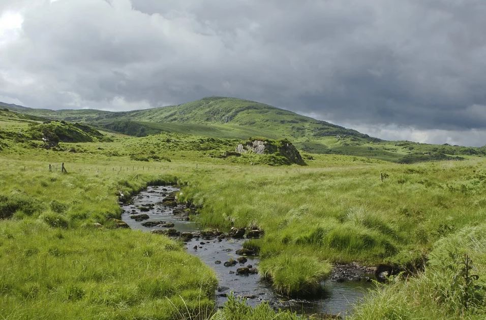 BillionGraves, Irish Famine, celtic cross, cemetery, genealogy, family history, ireland, St. Patrick's Day, Irish wake, Irish burial customs, family history, genealogy, ancestors