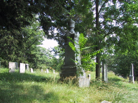 BillionGraves, gravestone, grave, damaged gravestones, cemetery, family history, ancestors, community service project, JustServe, BillionGraves app, ivy, plant growth, JustServe, ithaca, new york