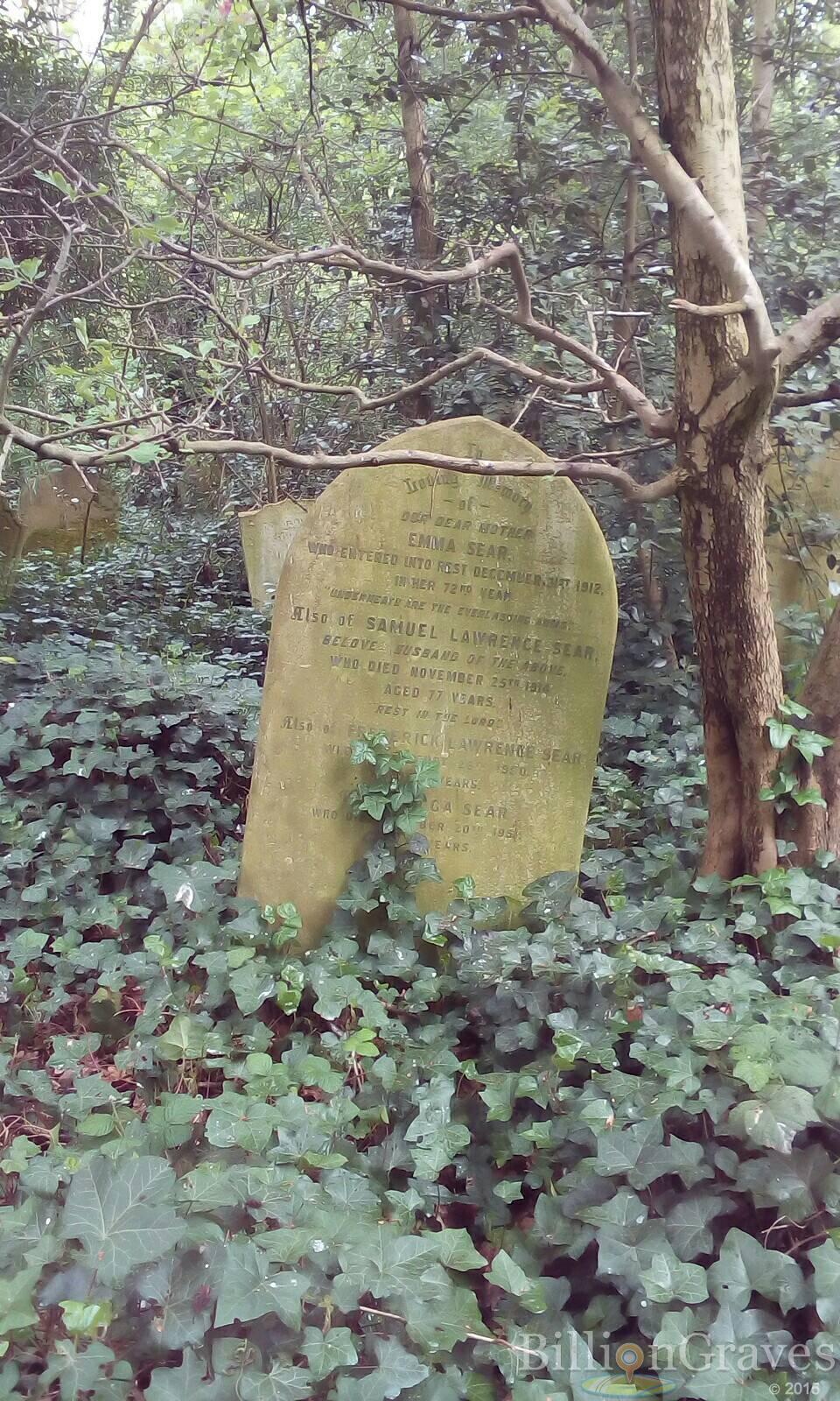 BillionGraves, gravestone, grave, damaged gravestones, cemetery, family history, ancestors, community service project, JustServe, BillionGraves app, ivy, plant growth, JustServe