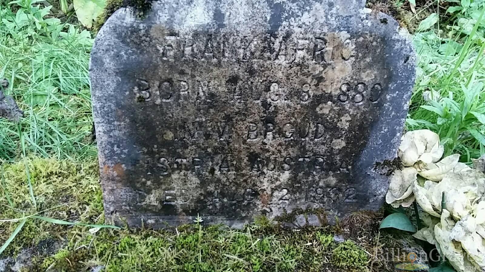 BillionGraves, gravestone, grave, damaged gravestones, cemetery, family history, ancestors, community service project, JustServe, BillionGraves app, ivy, plant growth, JustServe, moldy grave, plants