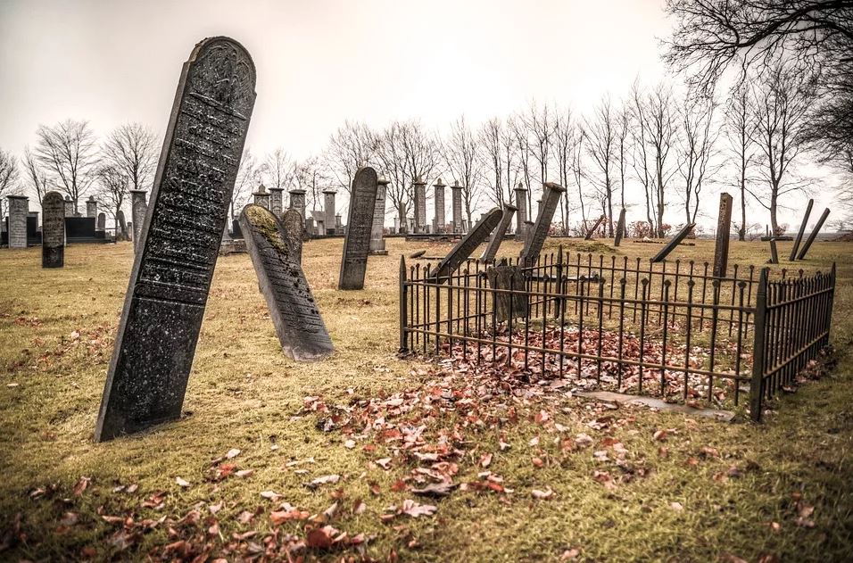 BillionGraves, gravestone, grave, damaged gravestones, cemetery, family history, ancestors, community service project, JustServe, BillionGraves app, ivy, plant growth, JustServe, Hebrew, Jewish graves