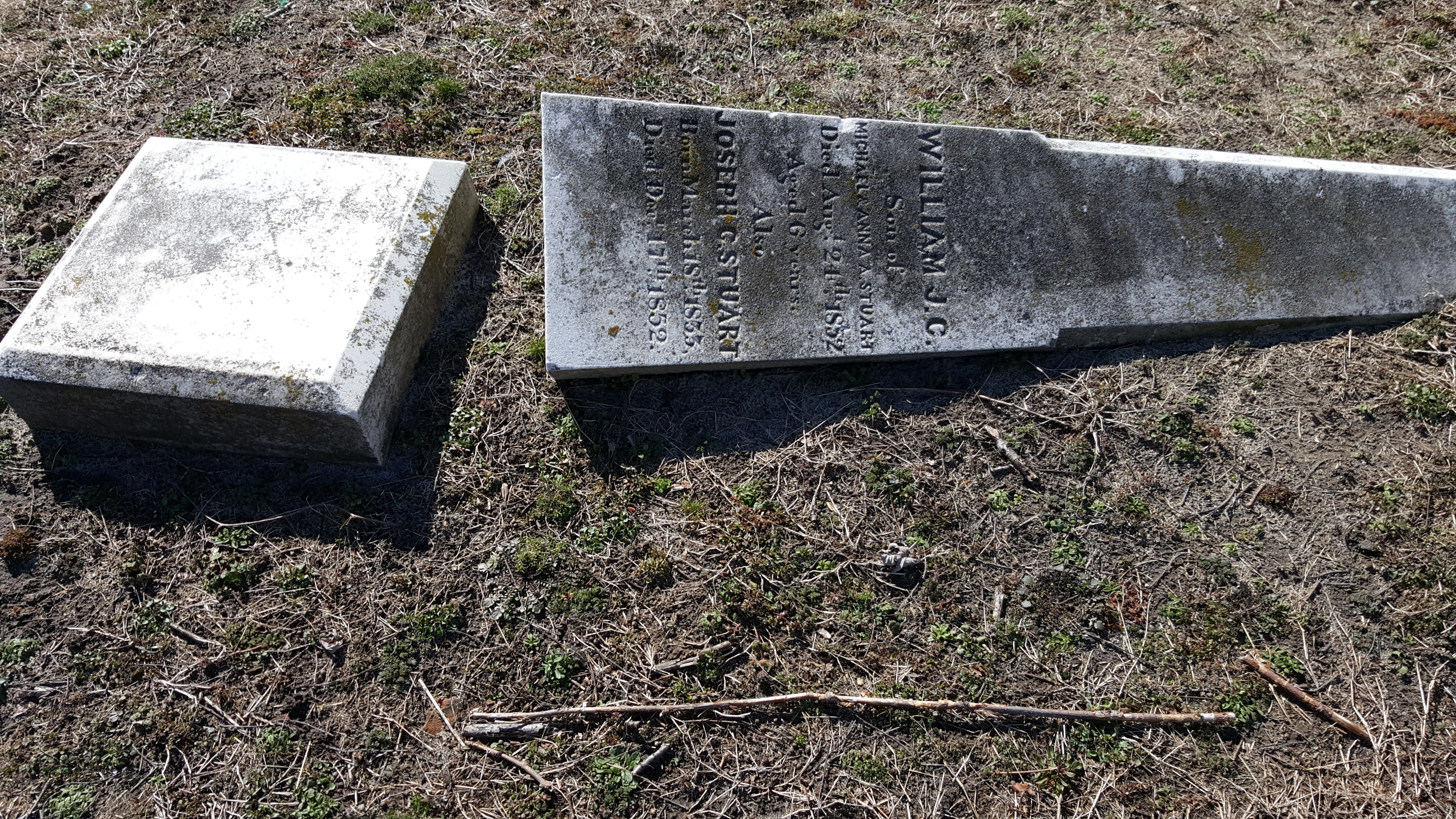obelisk, BillionGraves, gravestone, grave, damaged gravestones, cemetery, family history, ancestors, community service project, JustServe, BillionGraves app, ivy, plant growth, JustServe, Delaware