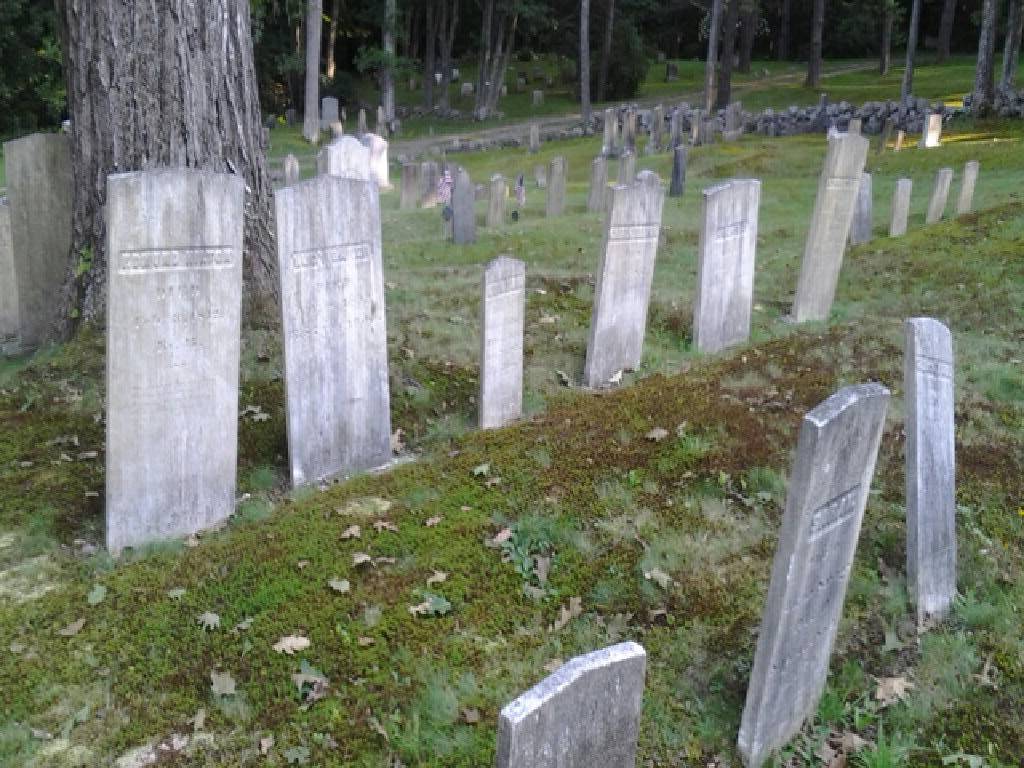 Maine, BillionGraves, gravestone, grave, damaged gravestones, cemetery, family history, ancestors, community service project, JustServe, BillionGraves app, ivy, plant growth, JustServe