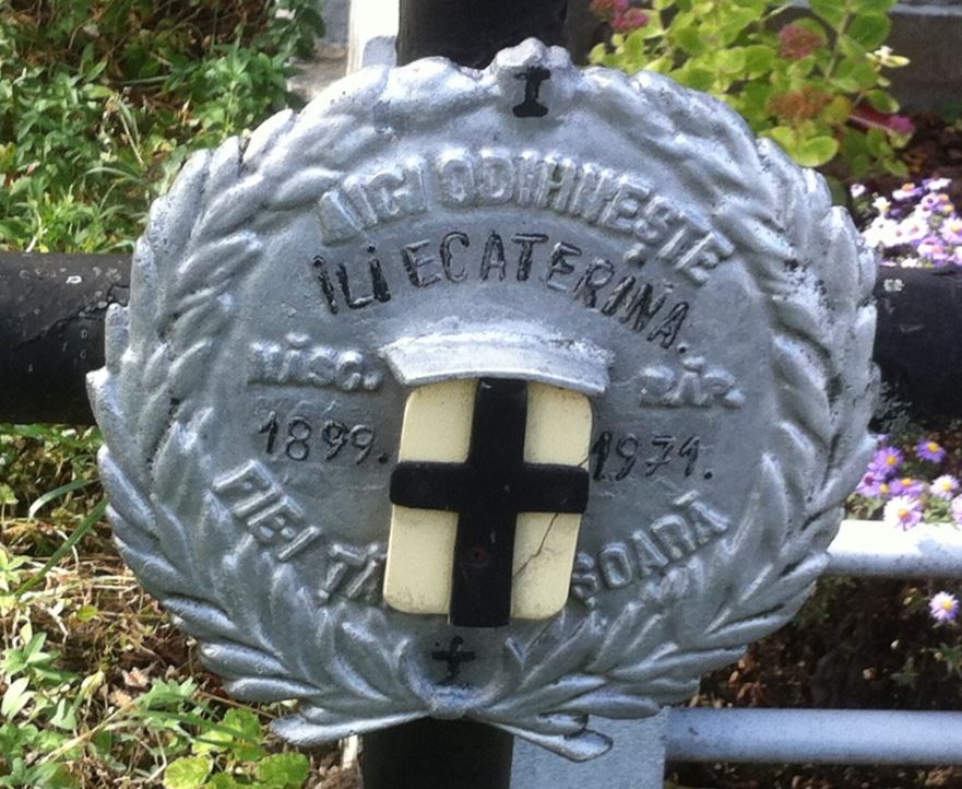 BillionGraves, reading, boy, homeschool, COVID-19, coronavirus, quarantine, BillionGraves, family history, genealogy, cemetery, gravestone, family learning, ancestors, GPS, metal marker