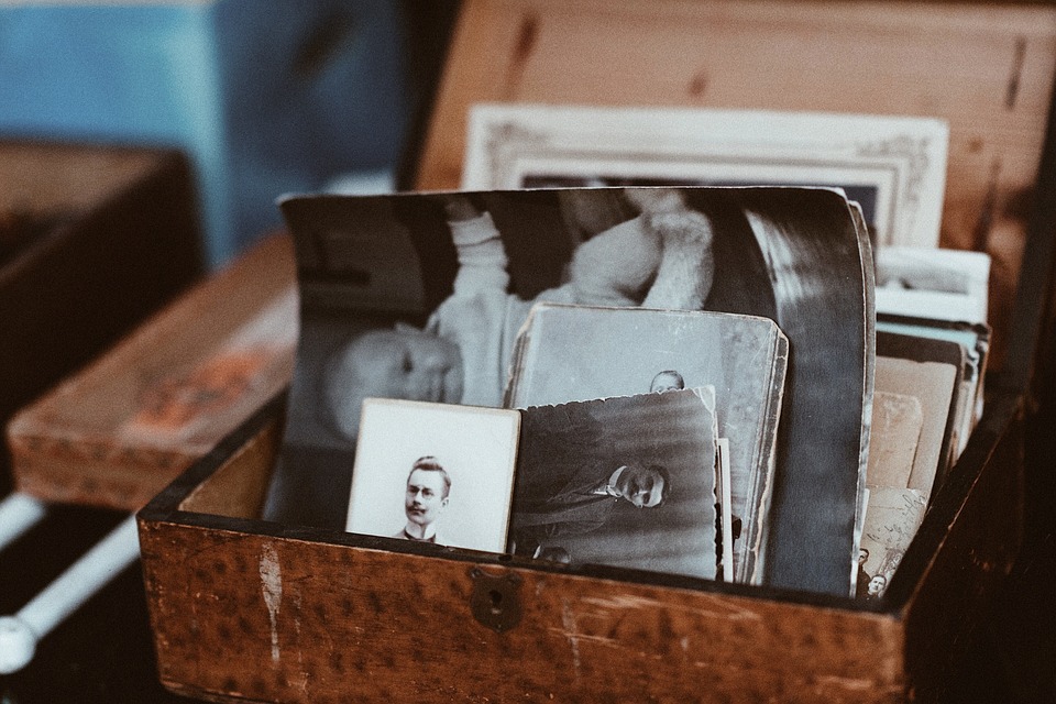 BillionGraves, reading, boy, homeschool, COVID-19, coronavirus, quarantine, BillionGraves, family history, genealogy, cemetery, gravestone, family learning, ancestors, GPS, vintage photos