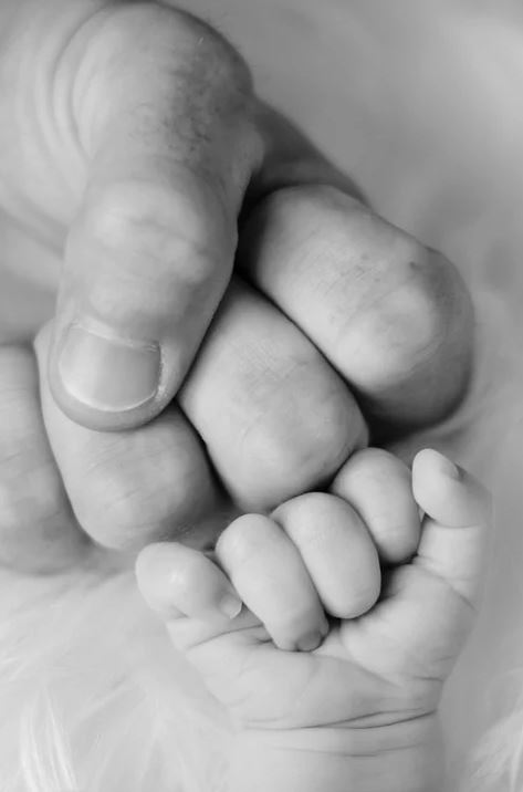 fist bump, BillionGraves, reading, boy, homeschool, COVID-19, coronavirus, quarantine, BillionGraves, family history, genealogy, cemetery, gravestone, family learning, ancestors, GPS, hands