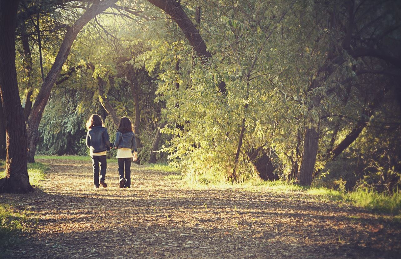 forest, BillionGraves, coronavirus, school closures, children, kids, genealogy, family history, ancestors, GPS