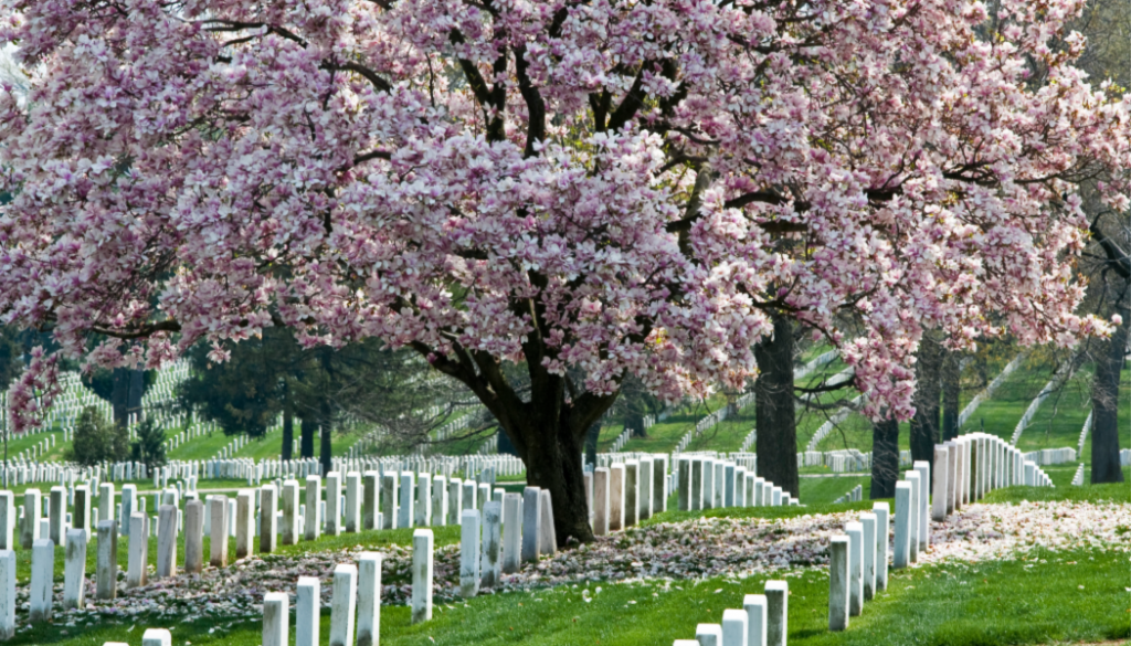 BillionGraves. cemetery, gravestone, largest cemetery, genealogy, family history, GPS-linked photos, BillionGraves app, volunteer, National Cemetery