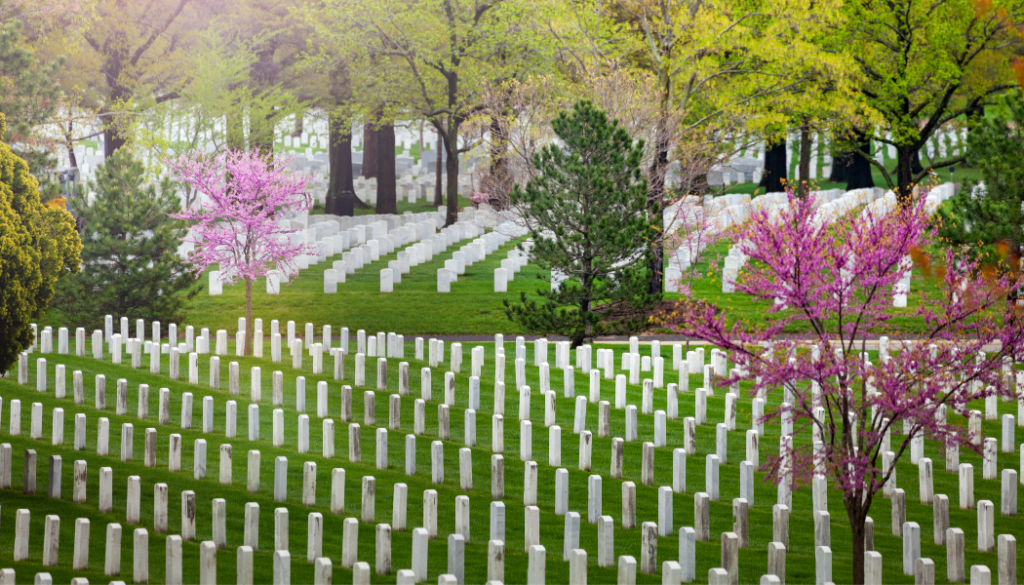 BillionGraves. cemetery, gravestone, largest cemetery, genealogy, family history, GPS-linked photos, BillionGraves app, volunteer, military cemetery, National cemetery
