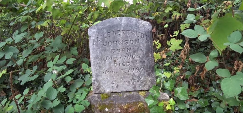 BillionGraves, cemetery, abandoned cemetery, cemetery documentation, gravestones, grave, ancestor, ancestry, family history, genealogy, BillionGraves app, tombstone, tomb