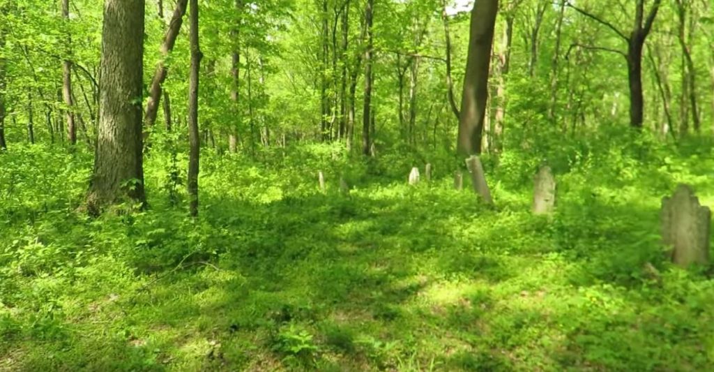 BillionGraves, cemetery, abandoned cemetery, cemetery documentation, gravestones, grave, ancestor, ancestry, family history, genealogy, BillionGraves app, lost graves, gravesite