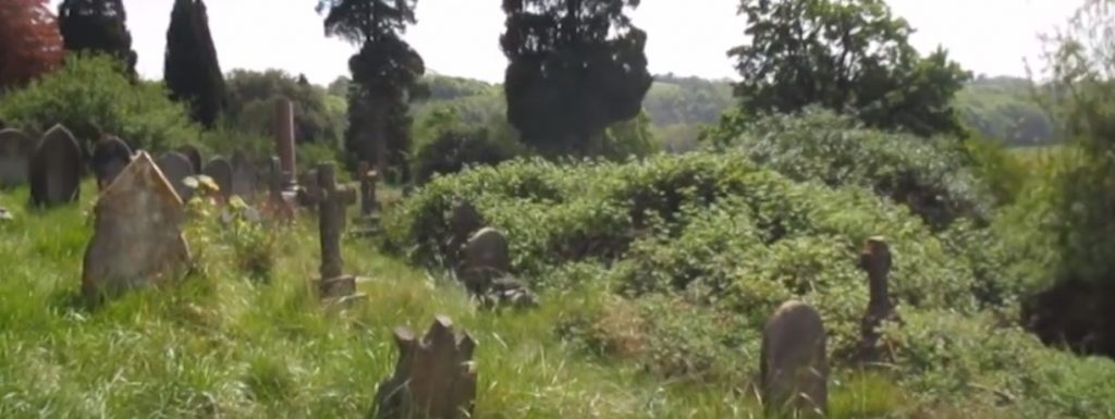 BillionGraves, cemetery, abandoned cemetery, cemetery documentation, gravestones, grave, ancestor, ancestry, family history, genealogy, BillionGraves app, graves, bushes, brush, field, meadow