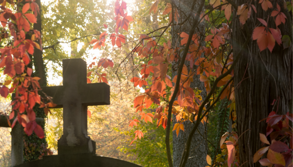 cross, trees, forest, woods, BillionGraves, cemetery, abandoned cemetery, cemetery documentation, gravestones, grave, ancestor, ancestry, family history, genealogy, BillionGraves app