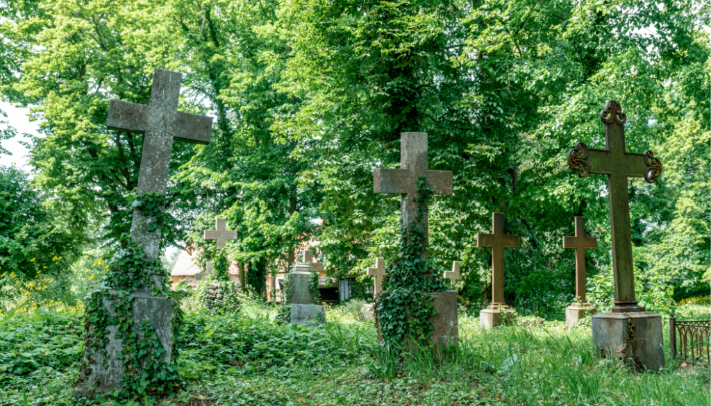 BillionGraves, cemetery, abandoned cemetery, cemetery documentation, gravestones, grave, ancestor, ancestry, family history, genealogy, BillionGraves app, cross, crosses, ivy, overgrowth, forest