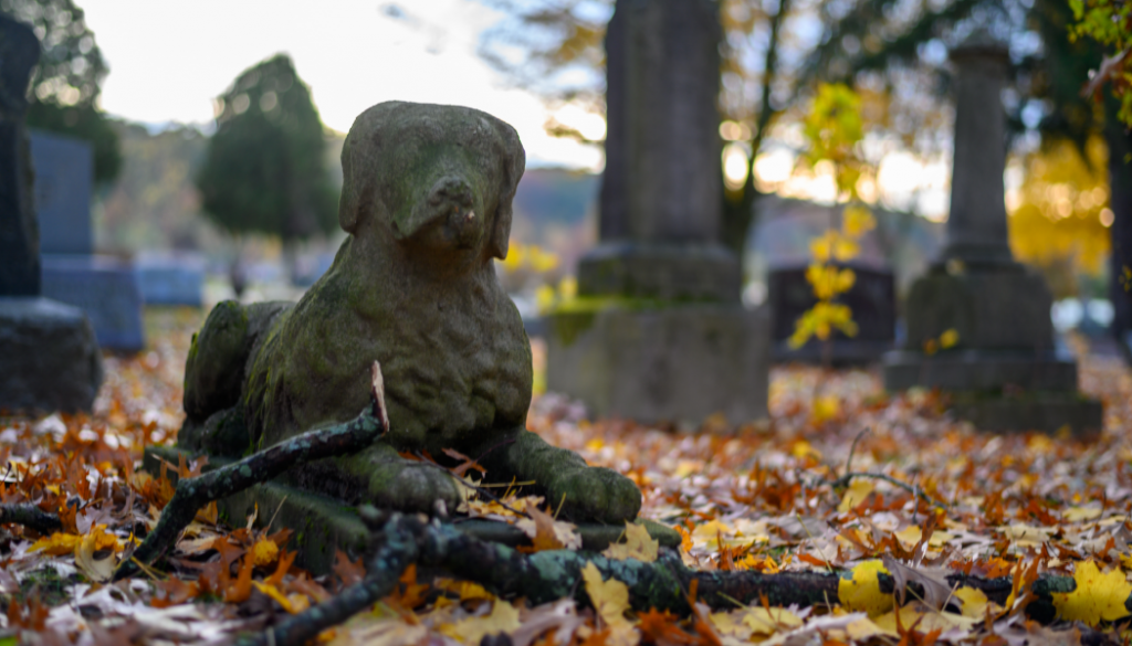 dog statue, tomb, tombstone, BillionGraves, cemetery, abandoned cemetery, cemetery documentation, gravestones, grave, ancestor, ancestry, family history, genealogy, BillionGraves app