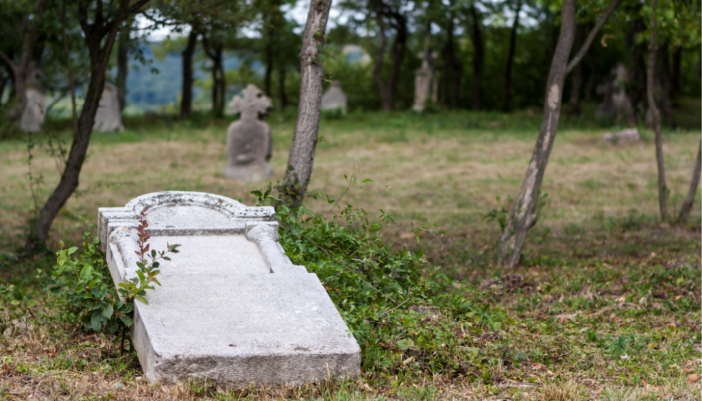 BillionGraves, cemetery, abandoned cemetery, cemetery documentation, gravestones, grave, ancestor, ancestry, family history, genealogy, BillionGraves app, fallen gravestone, tomb