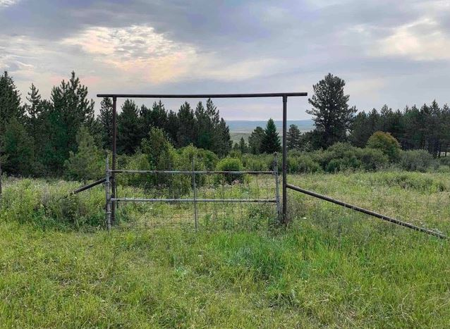 gate, cemetery gate, lost graveyard, BillionGraves, cemetery, abandoned cemetery, cemetery documentation, gravestones, grave, ancestor, ancestry, family history, genealogy, BillionGraves app
