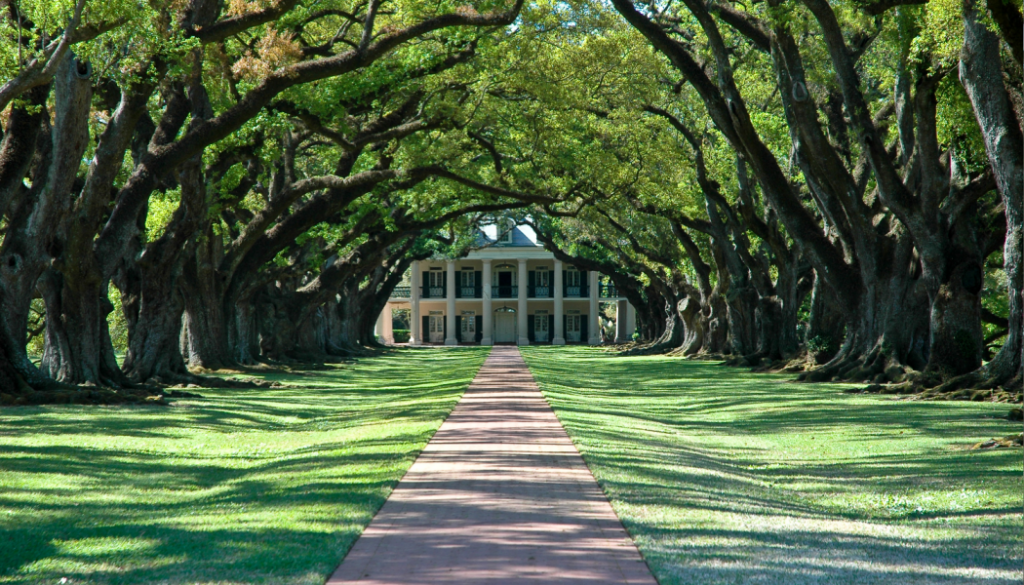 plantation home, plantation mansion, plantation, BillionGraves, cemetery, abandoned cemetery, cemetery documentation, gravestones, grave, ancestor, ancestry, family history, genealogy, BillionGraves app, trees