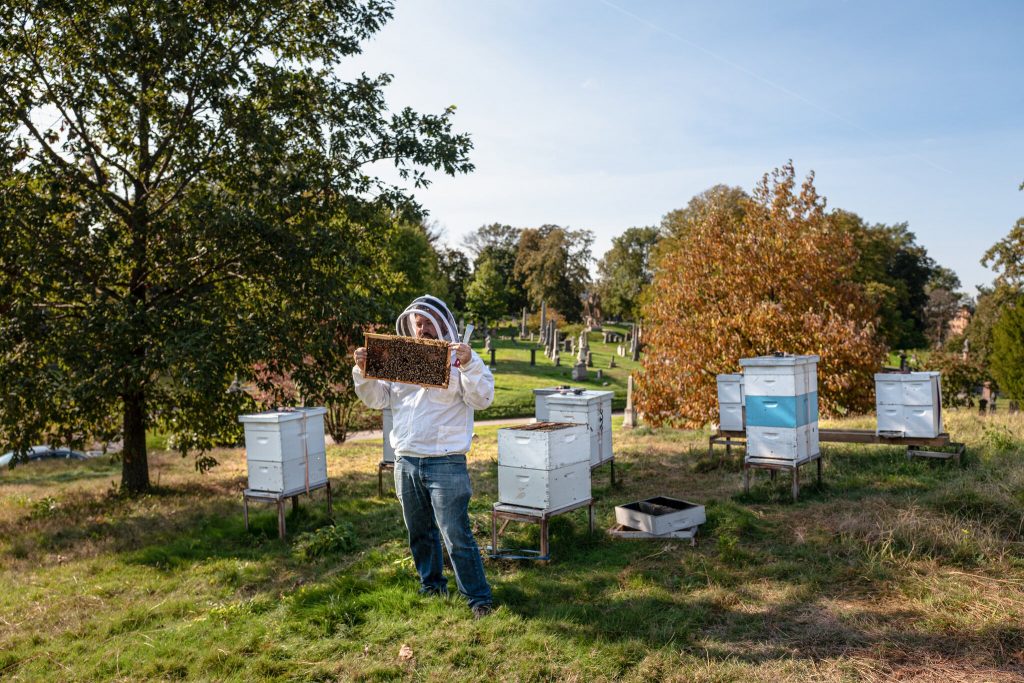 beekeeper, BillionGraves, cemetery, gravestones, family history, ancestors, genealogy, animals, wildlife, Green-wood cemetery, brooklyn, bees, honey, honey bee