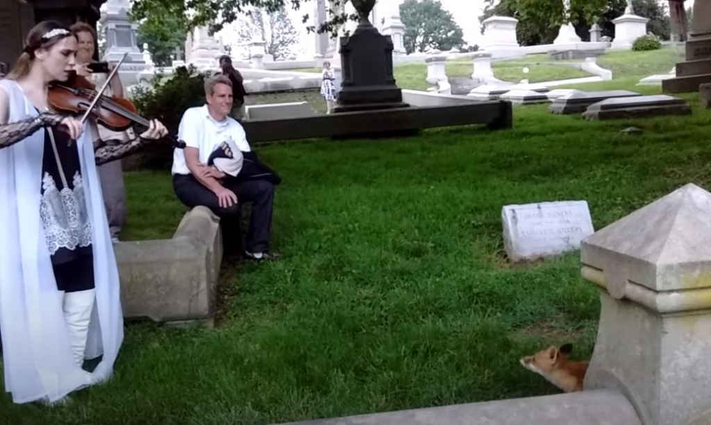 BillionGraves, cemetery, gravestones, family history, ancestors, genealogy, animals, wildlife, violin, fox, Laurel Hill Cemetery