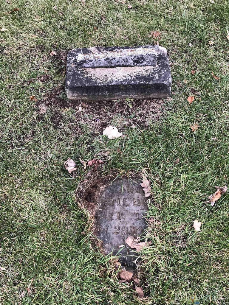 Grave site information of Melissa Randall (Downs) (Died: 11 Oct 1873) at Burlington Township Cemetery in Burlington, Calhoun, Michigan, United States from BillionGraves; BillionGraves, family history, genealogy, family, unmarked graves, cemetery, burial, final resting place, unknown burial, unmarked grave, GPS, ancestors