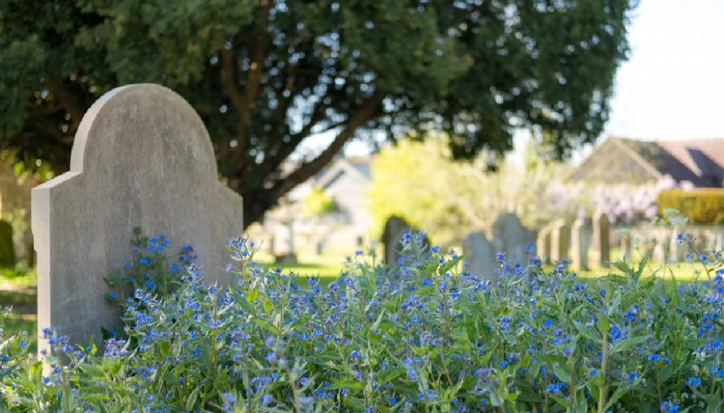 Scene in warm late spring sunlight within the graveyard, helping to creating a peaceful scene. Purple flowers. BillionGraves, cemetery, graves, superstitions, customs, funeral customs, funeral superstitions, graves, graveyard, headstone, ancestor, gravestone, family, family history, historical preservation, GPS, cemetery photography, cemetery mapping, BillionGraves, BG, BG+, tradition