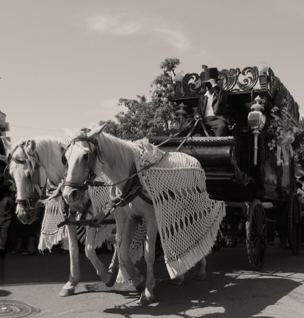BillionGraves, mobile app, gravestones, take photos of gravestones, cemetery, cemetery history, genealogy, ancestors, family history, BillionGraves, volunteers, volunteering, community service, Victorian funerals, Victorian cemetery traditions, horse, blanket, hearse, horse-drawn hearse