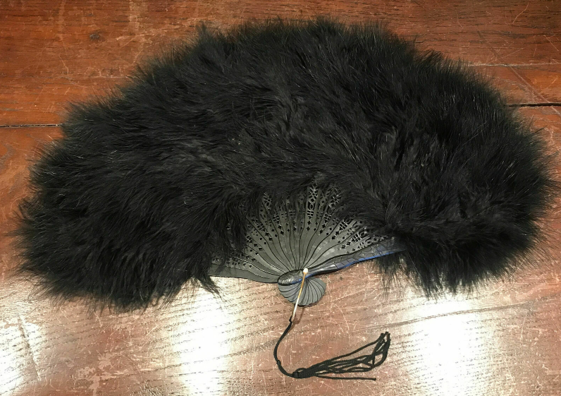 feathers, fan, BillionGraves, ancestors, family history, Victorian era, Victorian mourning clothes, funeral. mourning, cemetery, grave, GPS, cemetery documentation, gravestone photos, ostrich feathers