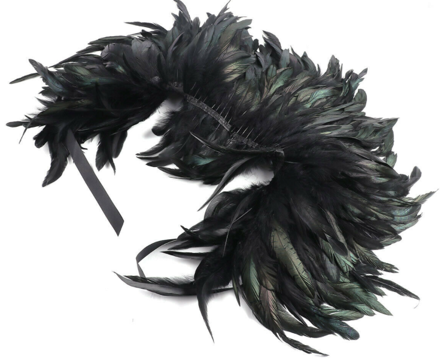 ostrich feather cape, BillionGraves, ancestors, family history, Victorian era, Victorian mourning clothes, funeral. mourning, cemetery, grave, GPS, cemetery documentation, gravestone photos