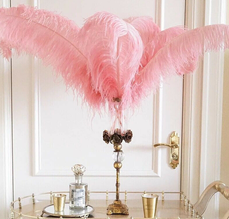 BillionGraves, home, house, family history, genealogy, victorian home, Victorian era, funeral, preparing Victorian homes, cemetery, grave, gravesite, cemetery, BillionGraves, pink ostrich feathers