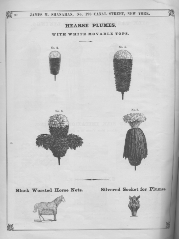 hearse plumes, ostrich feathers, BillionGraves, mobile app, gravestones, take photos of gravestones, cemetery, cemetery history, genealogy, ancestors, family history, BillionGraves, volunteers, volunteering, community service, Victorian funerals, Victorian cemetery traditions