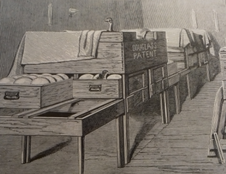 patented ostrich incubator, incubation, ostrich eggs, Douglass patent, ostrich feathers