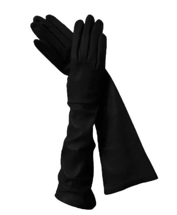 BillionGraves, ancestors, family history, Victorian era, Victorian mourning clothes, funeral. mourning, cemetery, grave, GPS, cemetery documentation, gravestone photos, black leather gloves