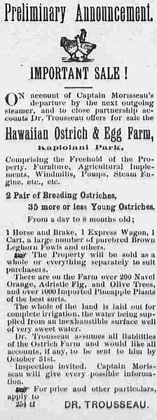 newspaper ad, egg and ostrich farm, Funeral, BillionGraves, ostrich feather, ostrich feather funeral, cemetery, grave, st, gravestones, GPS, BG, ostrich, genealogy, family history, ancestors, family tree, BillionGraves