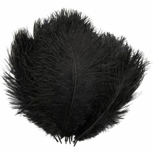 black ostrich feathers
