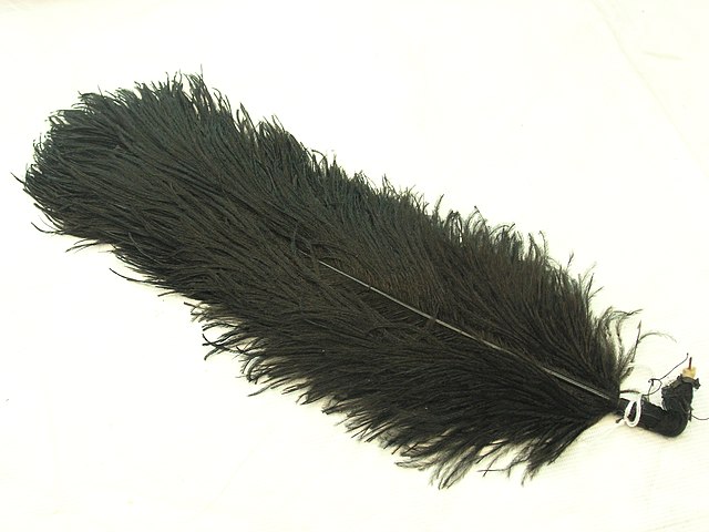 black ostrich feather
