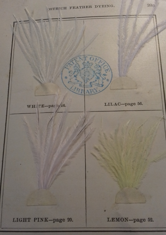 pastel ostrich feathers, dye