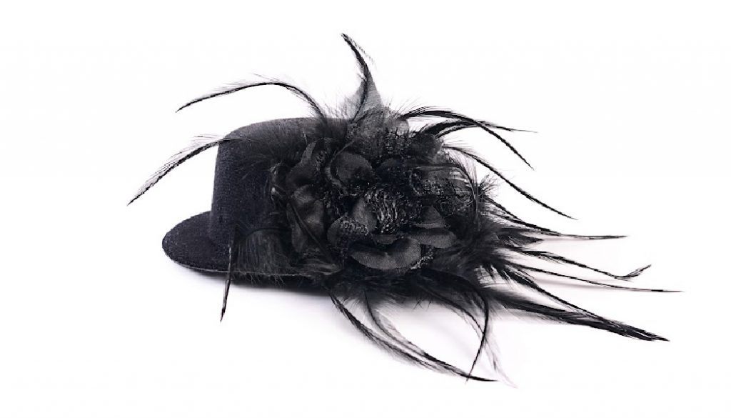Ostrich feather hat, Funeral, BillionGraves, ostrich feather, ostrich feather funeral, cemetery, grave, st, gravestones, GPS, BG, ostrich, genealogy, family history, ancestors, family tree, BillionGraves