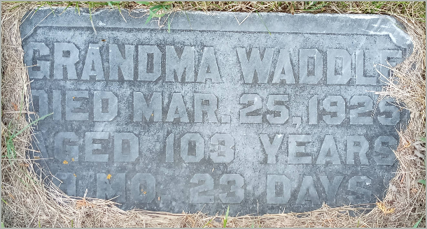 Headstone image of Grandma Waddle;gravestone, clues, gravestone clues, BillionGraves, cemetery, genealogy, ancestors, family history, FamilySearch, find ancestors, family tree, GPS, BillionGraves