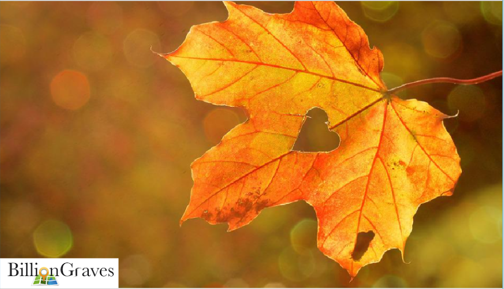 BillionGraves, roadside cemeteries, discovering roadside cemeteries, cemetery, grave, gravestones, autumn, genealogy, family history, ancestors, GPS, photograph gravestone, find graves, road, roadtrip, fall color tour, fall leaves, leaf