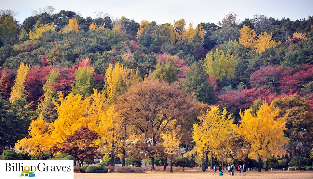 BillionGraves, roadside cemeteries, discovering roadside cemeteries, cemetery, grave, gravestones, autumn, genealogy, family history, ancestors, GPS, photograph gravestone, find graves, road, roadtrip, fall color tour