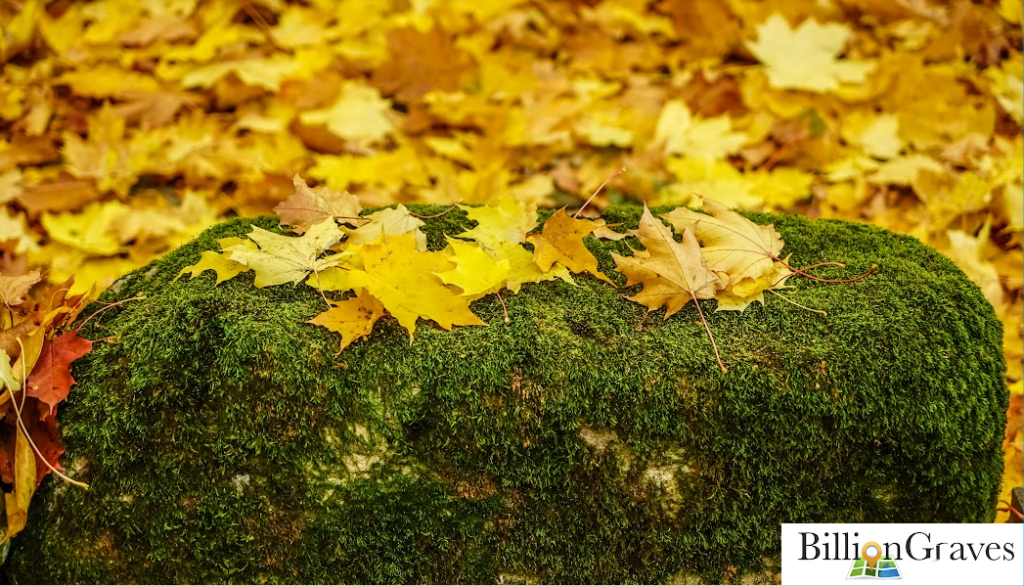 BillionGraves, roadside cemeteries, discovering roadside cemeteries, cemetery, grave, gravestones, autumn, genealogy, family history, ancestors, GPS, photograph gravestone, find graves, road, roadtrip, fall color tour